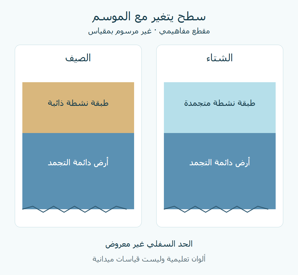 مقطعان تعليميان للسطح في الصيف والشتاء؛ يميز اللون الطبقة الموسمية مما تحتها.