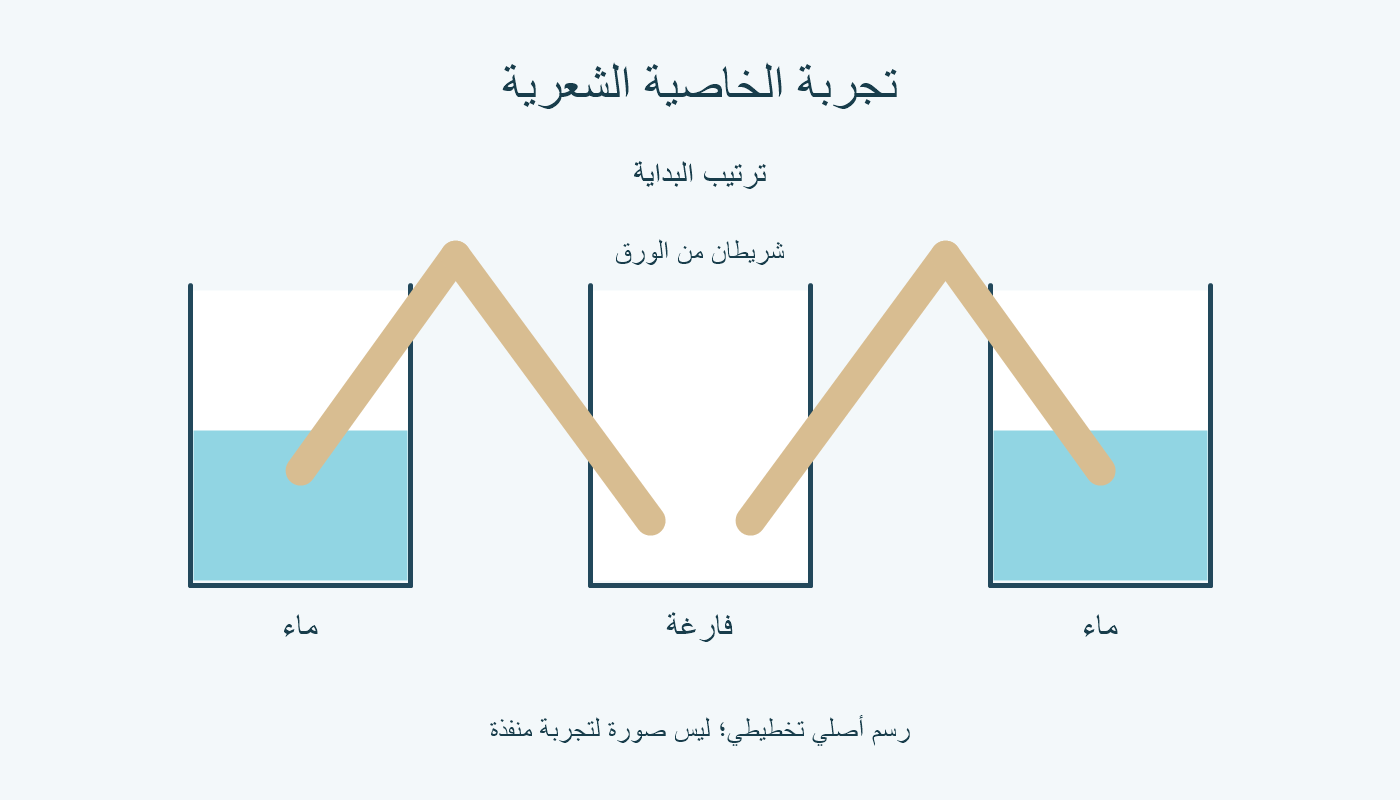 ثلاثة أكواب وشريطان يربطان الكأسين الطرفيتين بالوسطى