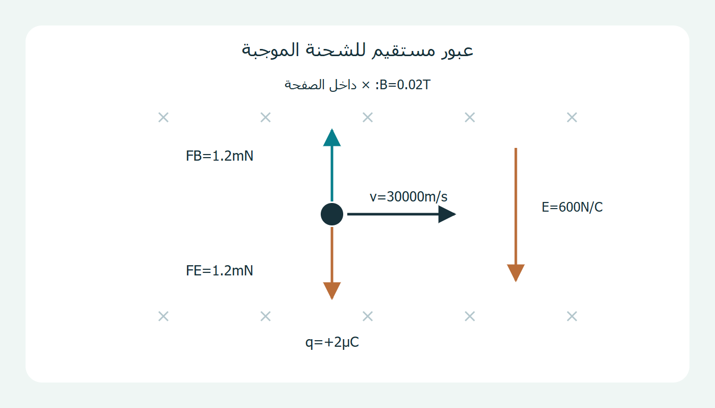 القوتان على الشحنة الموجبة