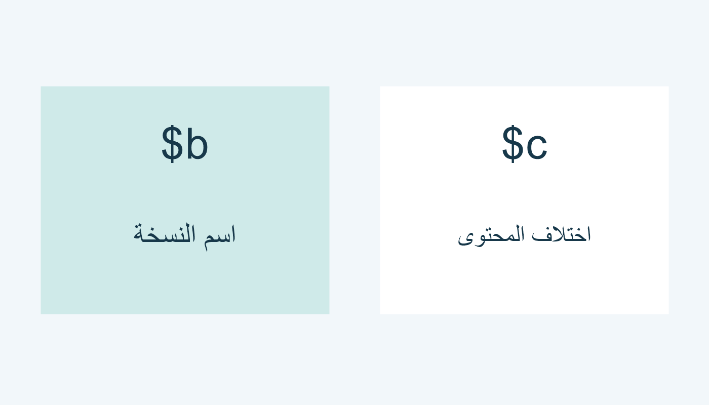 اسم يميز النسخة ووصف لاختلاف محتوى الإصدار.