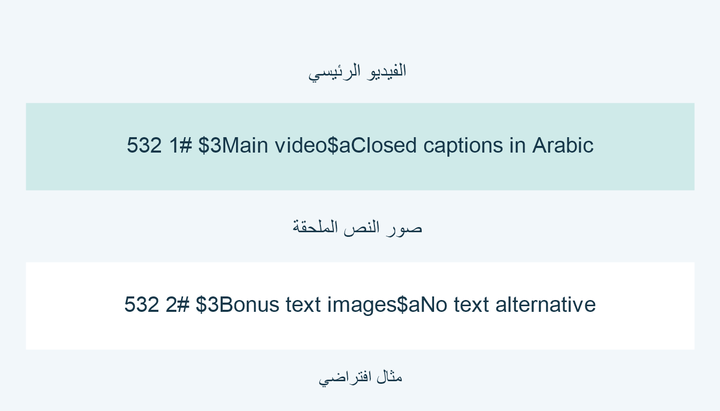 تبصرتا ميزة الفيديو وقصور صور النص تحددان جزأين.