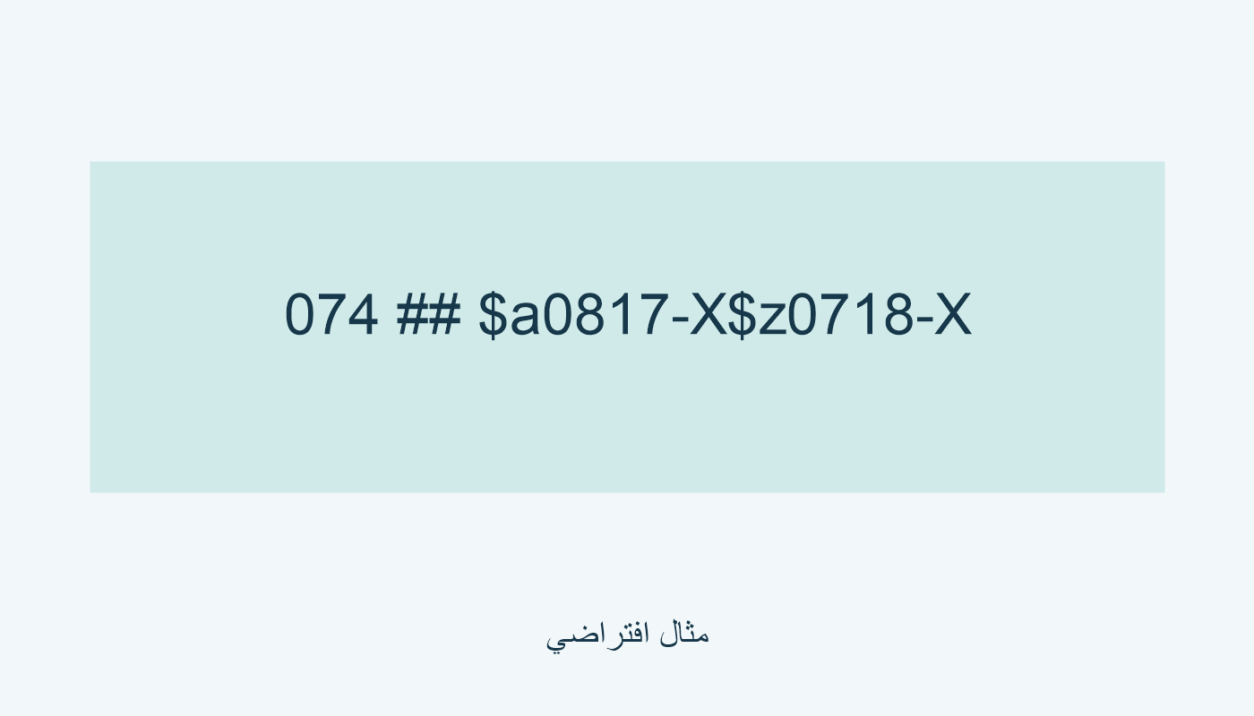 074 يجمع 0817-X ورقم النسخ الخاطئ 0718-X.