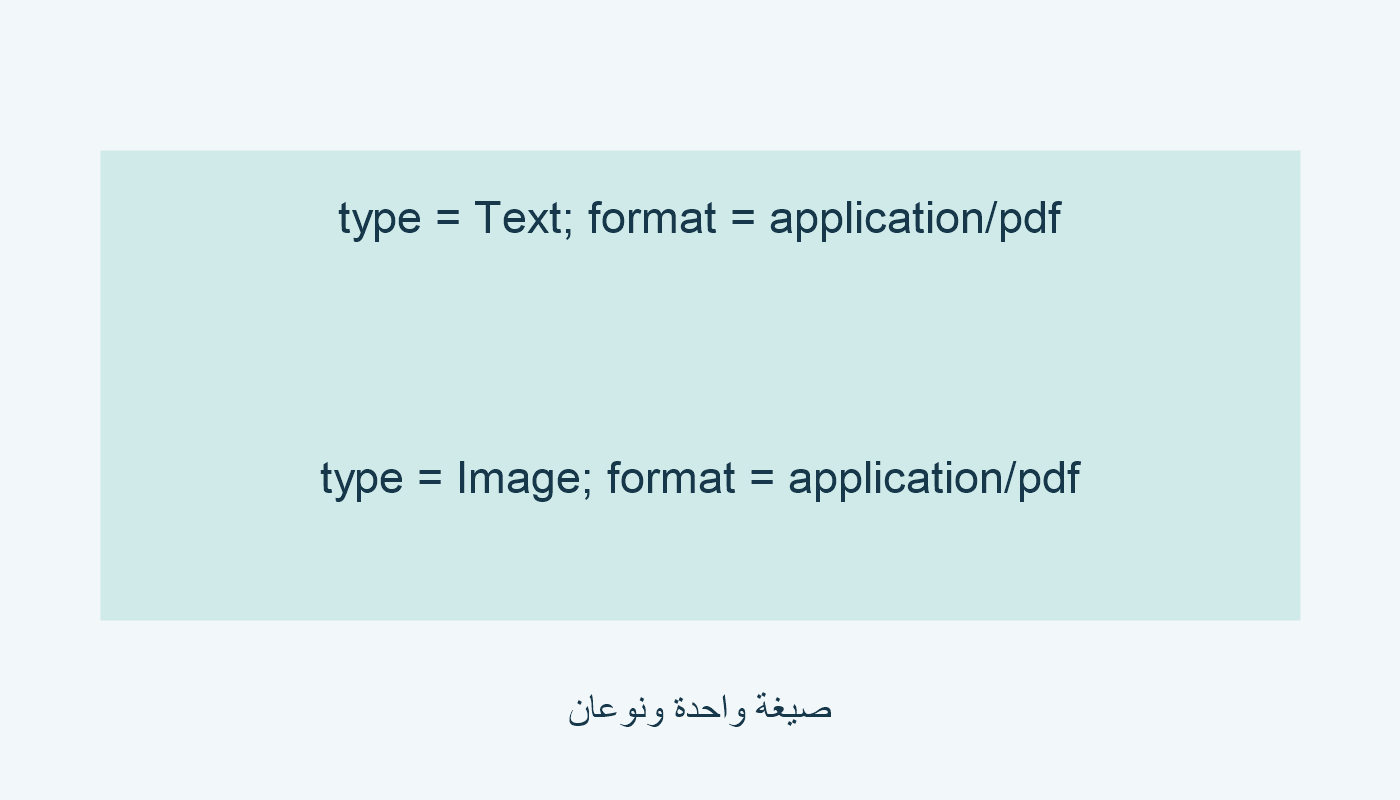 Text وImage؛ application/pdf في الحالتين.