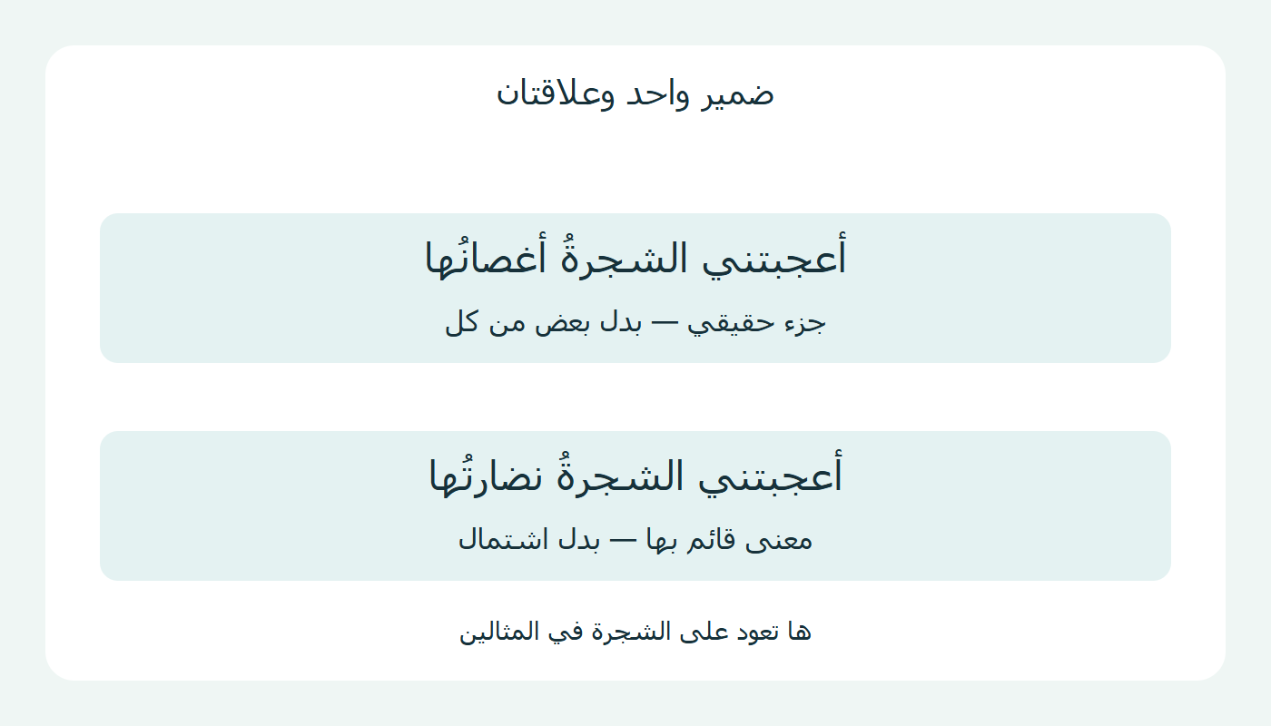الأغصان والنضارة مع ضمير عائد واحد