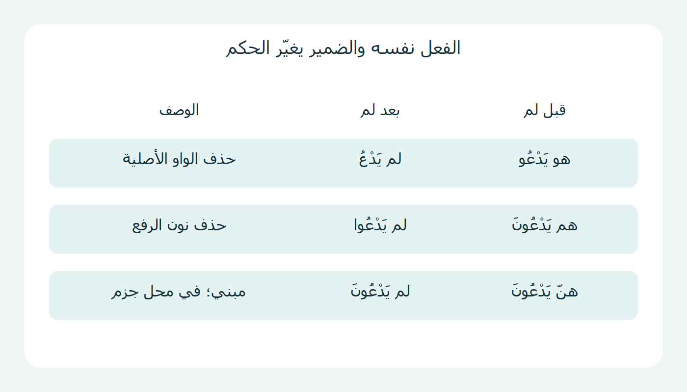 ثلاث صيغ قبل لم وبعدها