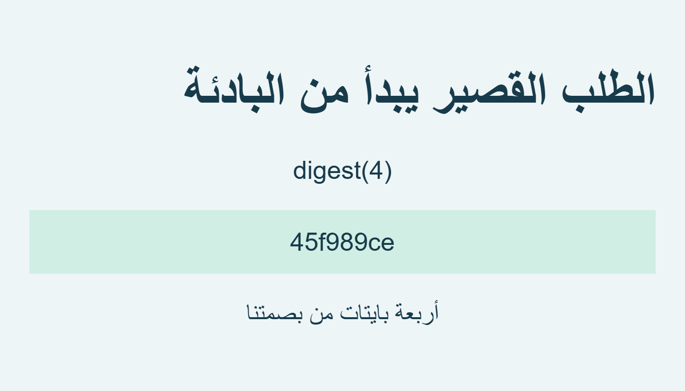 أربعة بايتات معروضة سداسيًا