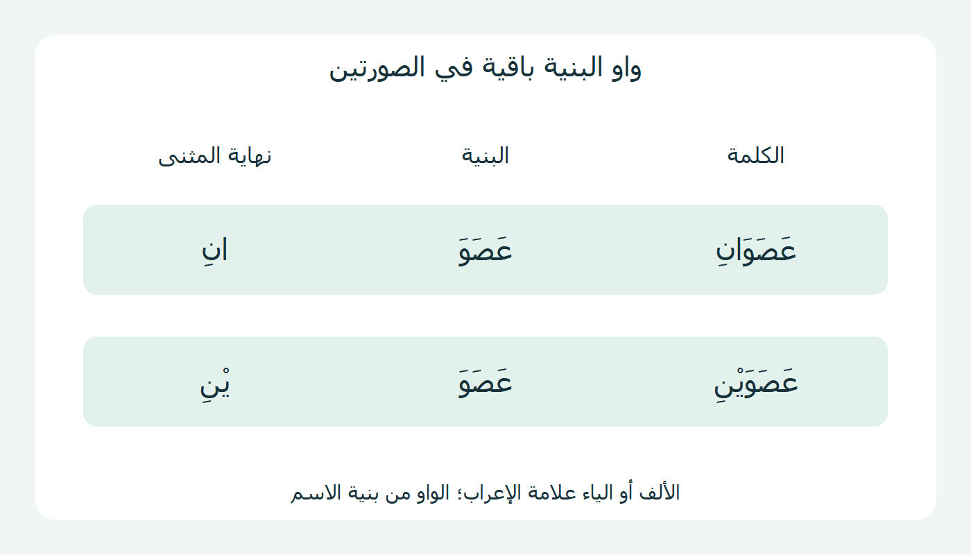 واو بنية عصو ثابتة مع نهايتي المثنى ان وين