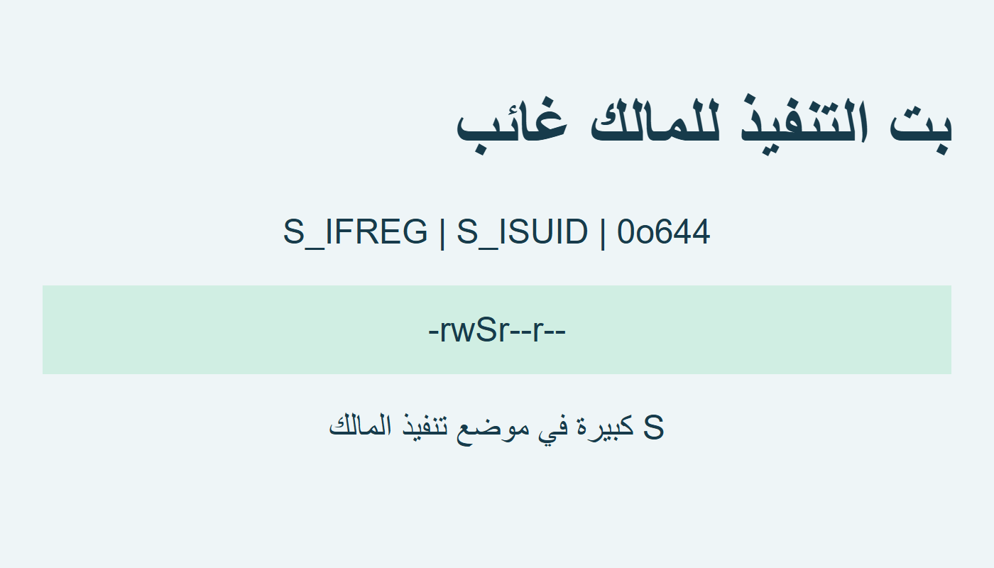 حرف S كبير مع غياب تنفيذ المالك