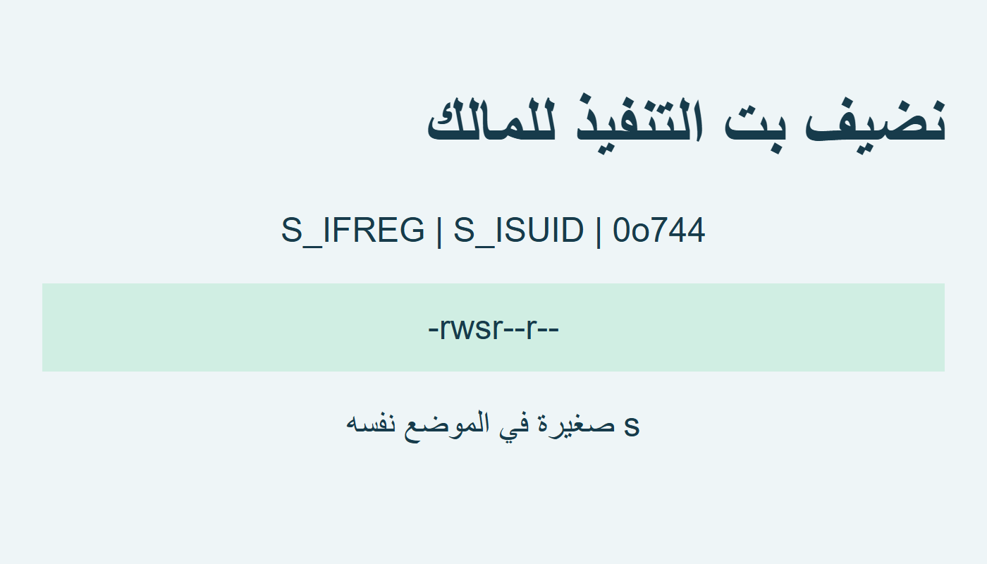 حرف s صغير بعد إضافة تنفيذ المالك