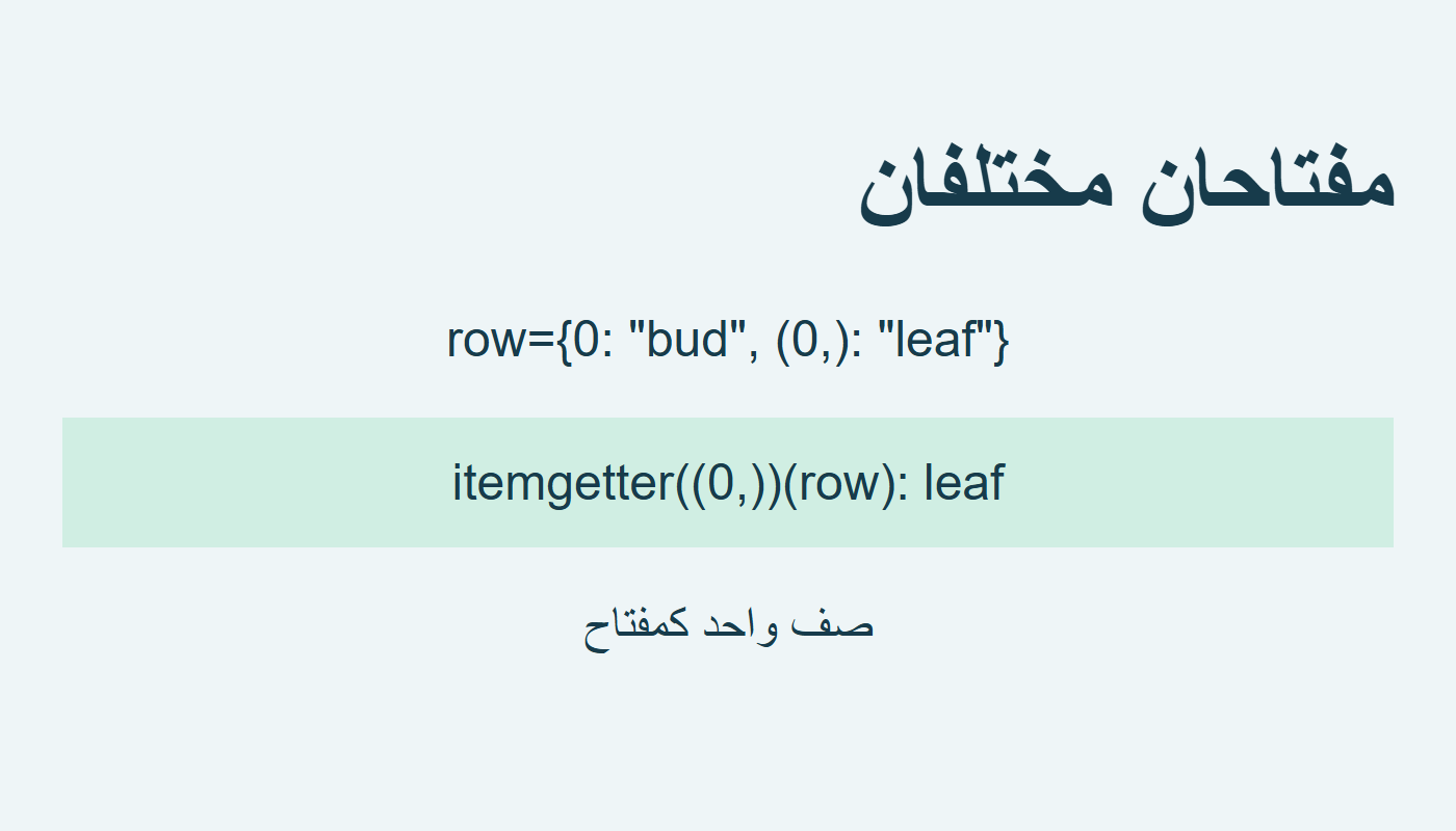 صف كامل كمفتاح واحد
