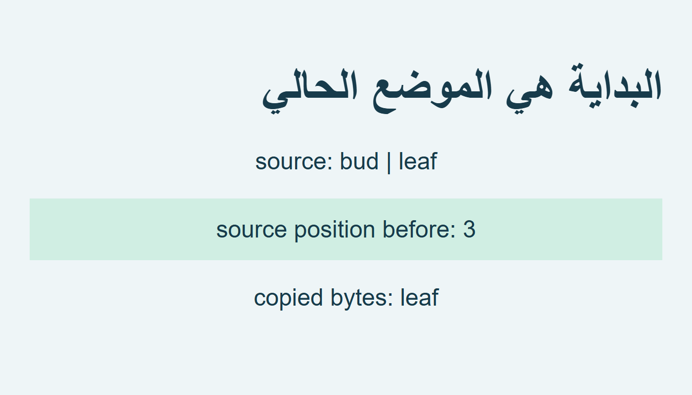 النسخ يبدأ بعد bud عند الموضع 3