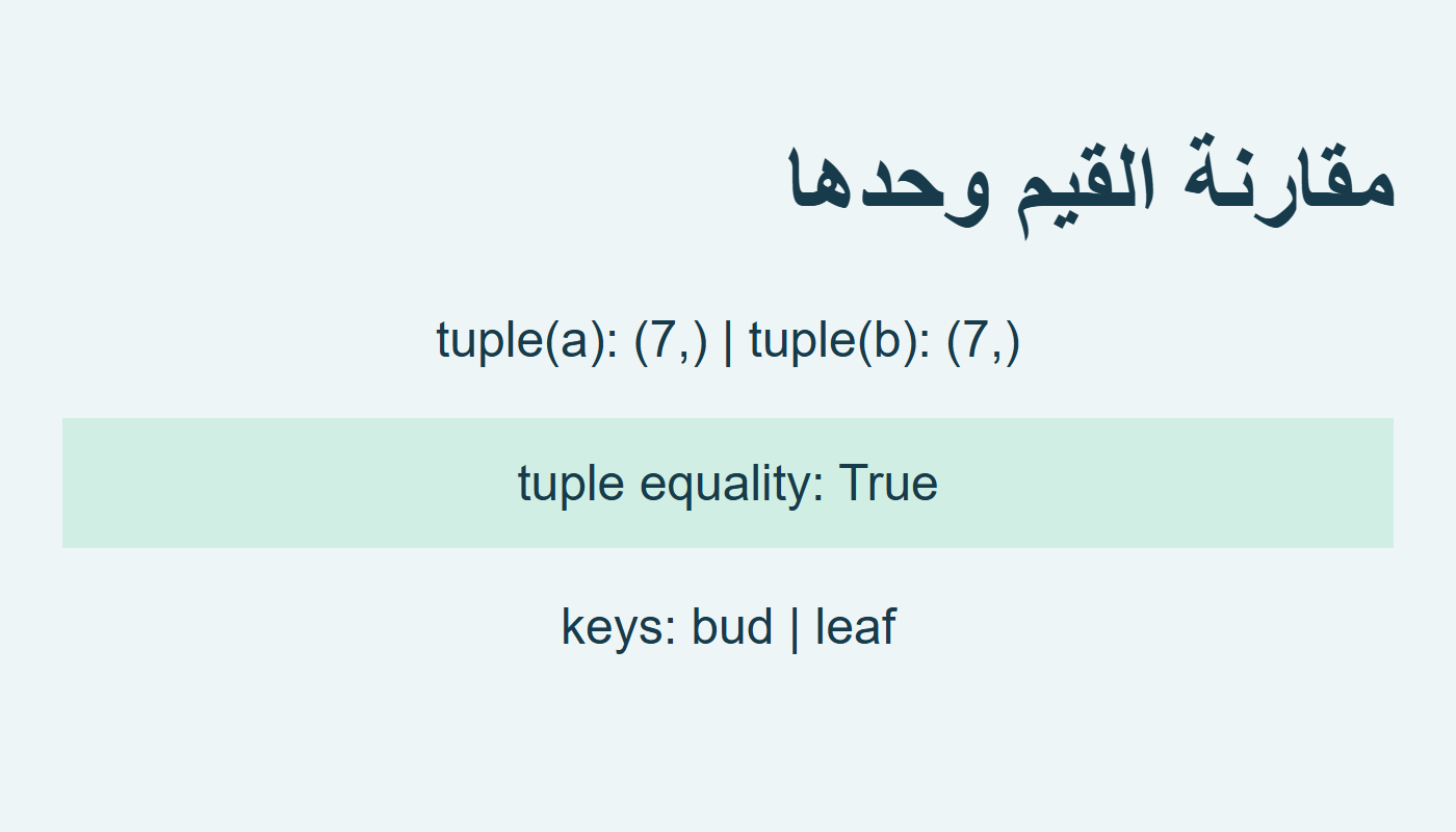 القيم المحولة إلى tuple متساوية