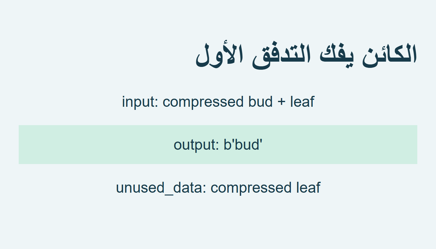 الكائن يعيد bud ويحتفظ بالتدفق الثاني المضغوط