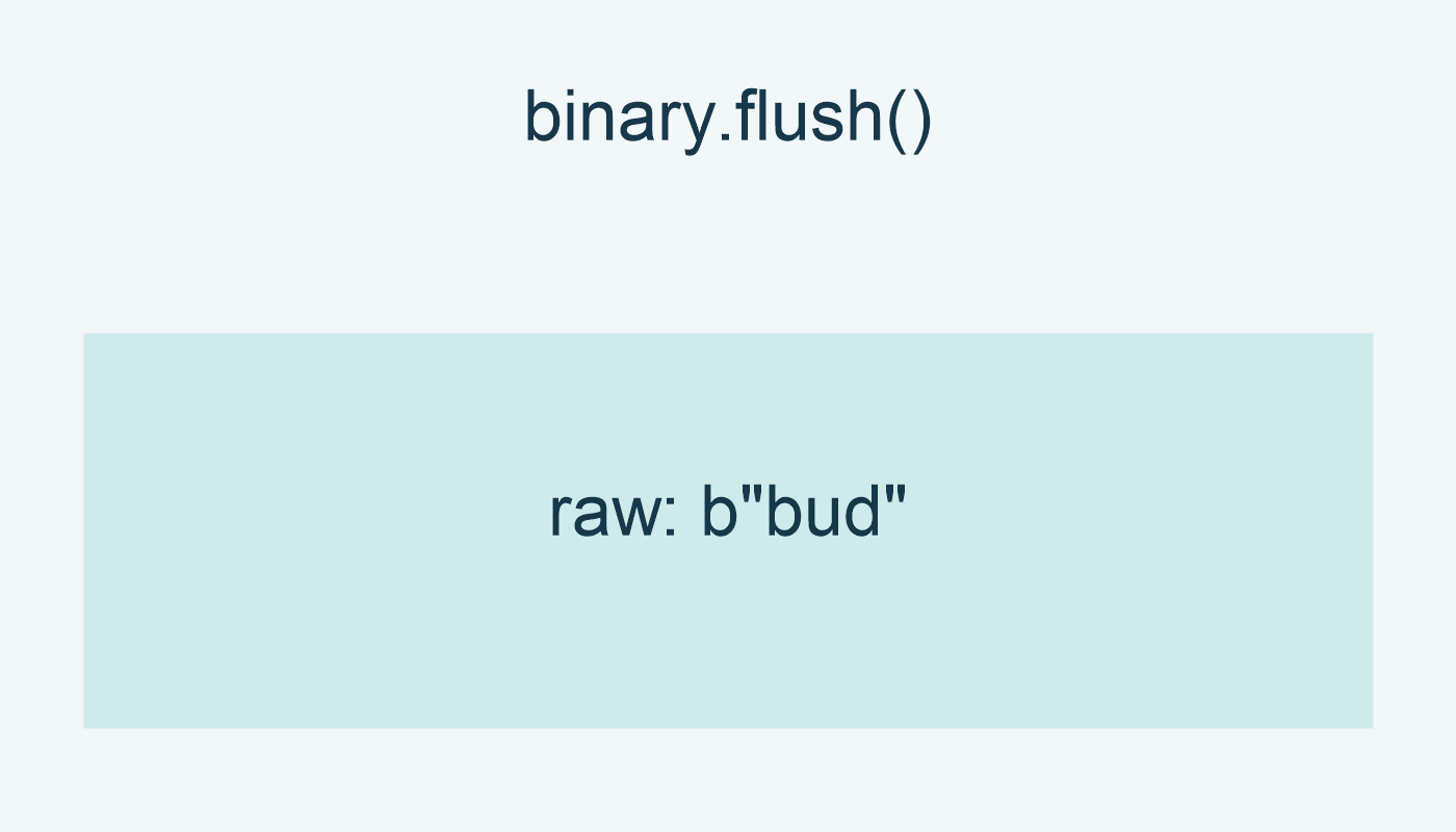 بعد binary.flush(): مخزن BytesIO يحوي b"bud".