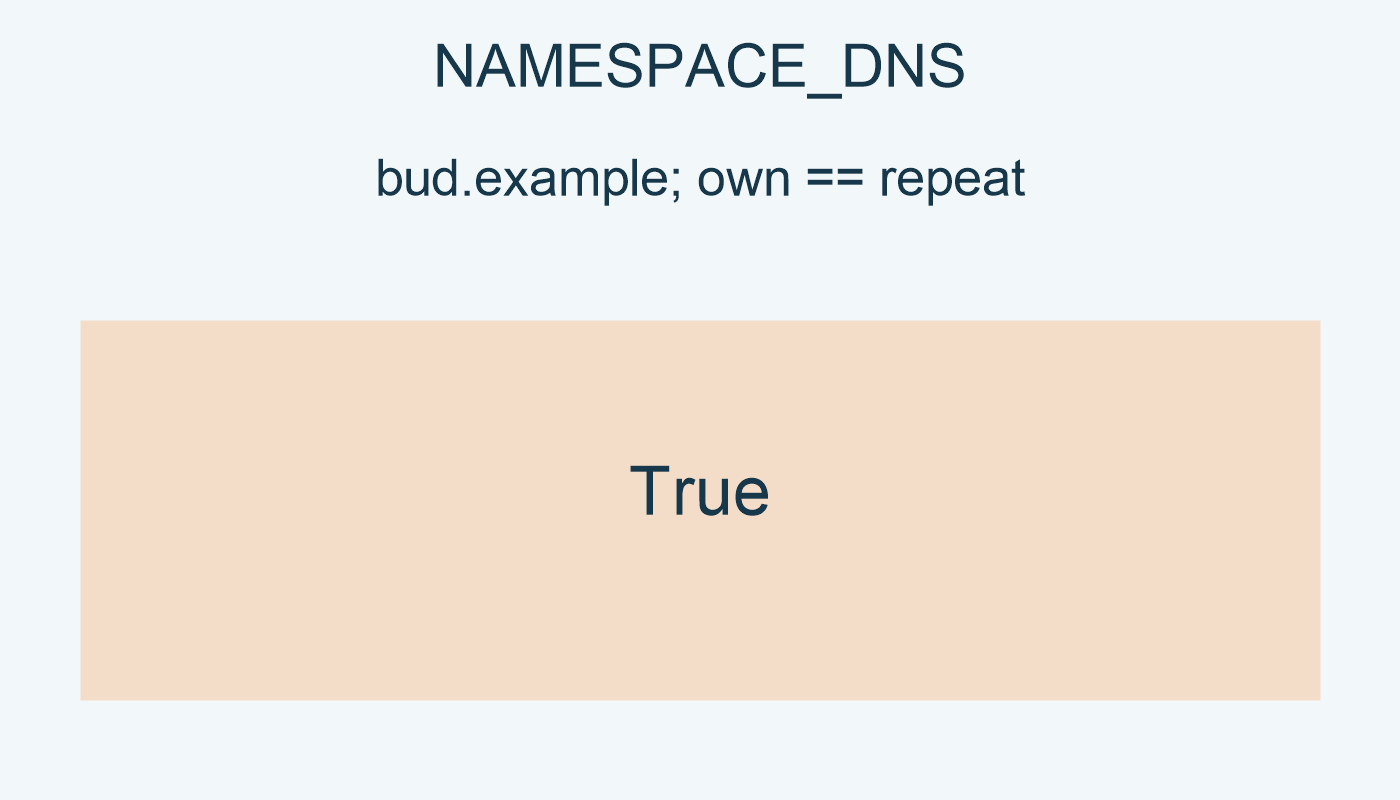 NAMESPACE_DNS; bud.example; own==repeat: True.