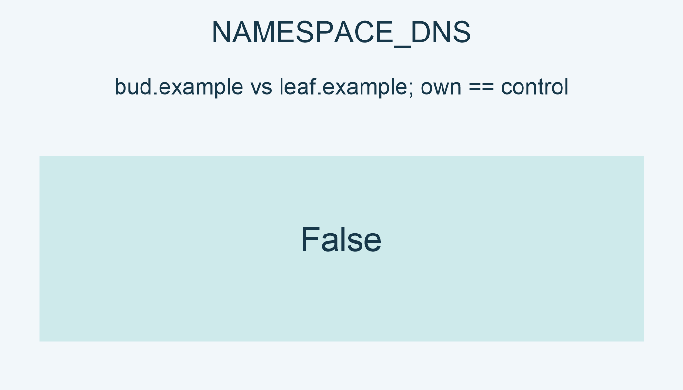 NAMESPACE_DNS; bud.example vs leaf.example; own==control: False.
