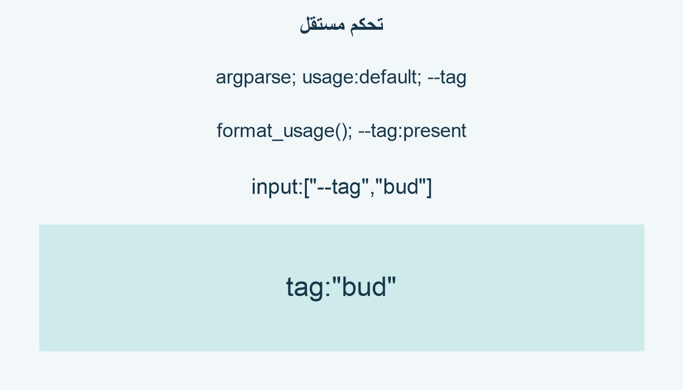 تحكم مستقل؛ argparse; usage:default; --tag; format_usage(); --tag:present; input:["--tag","bud"]; tag:"bud"