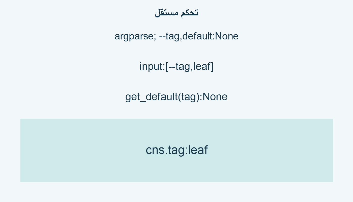 تحكم مستقل؛ argparse; --tag,default:None; input:[--tag,leaf]; get_default(tag):None; cns.tag:leaf