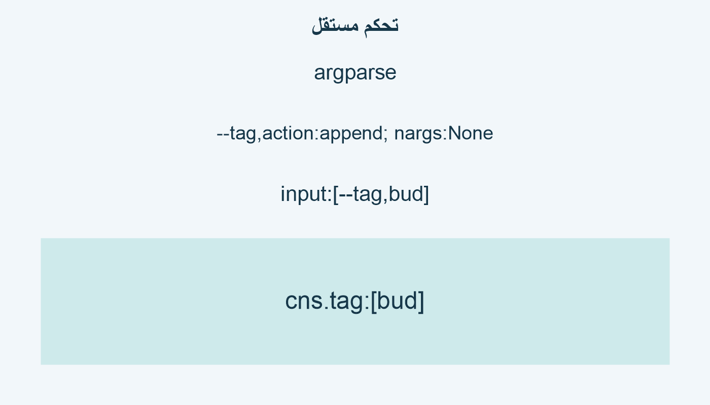 تحكم مستقل؛ argparse; --tag,action:append; nargs:None; input:[--tag,bud]; cns.tag:[bud]