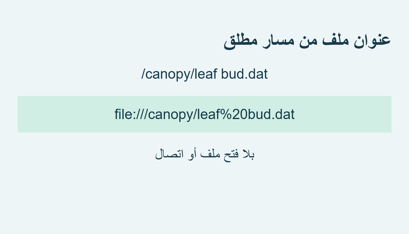 تمثيل المسار المطلق بعنوان ملف