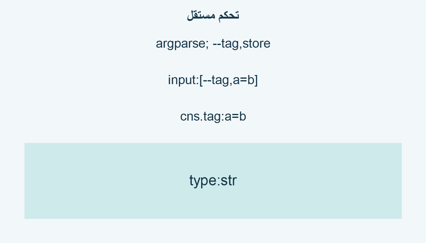 تحكم مستقل؛ argparse; --tag,store; input:[--tag,a=b]; cns.tag:a=b; type:str