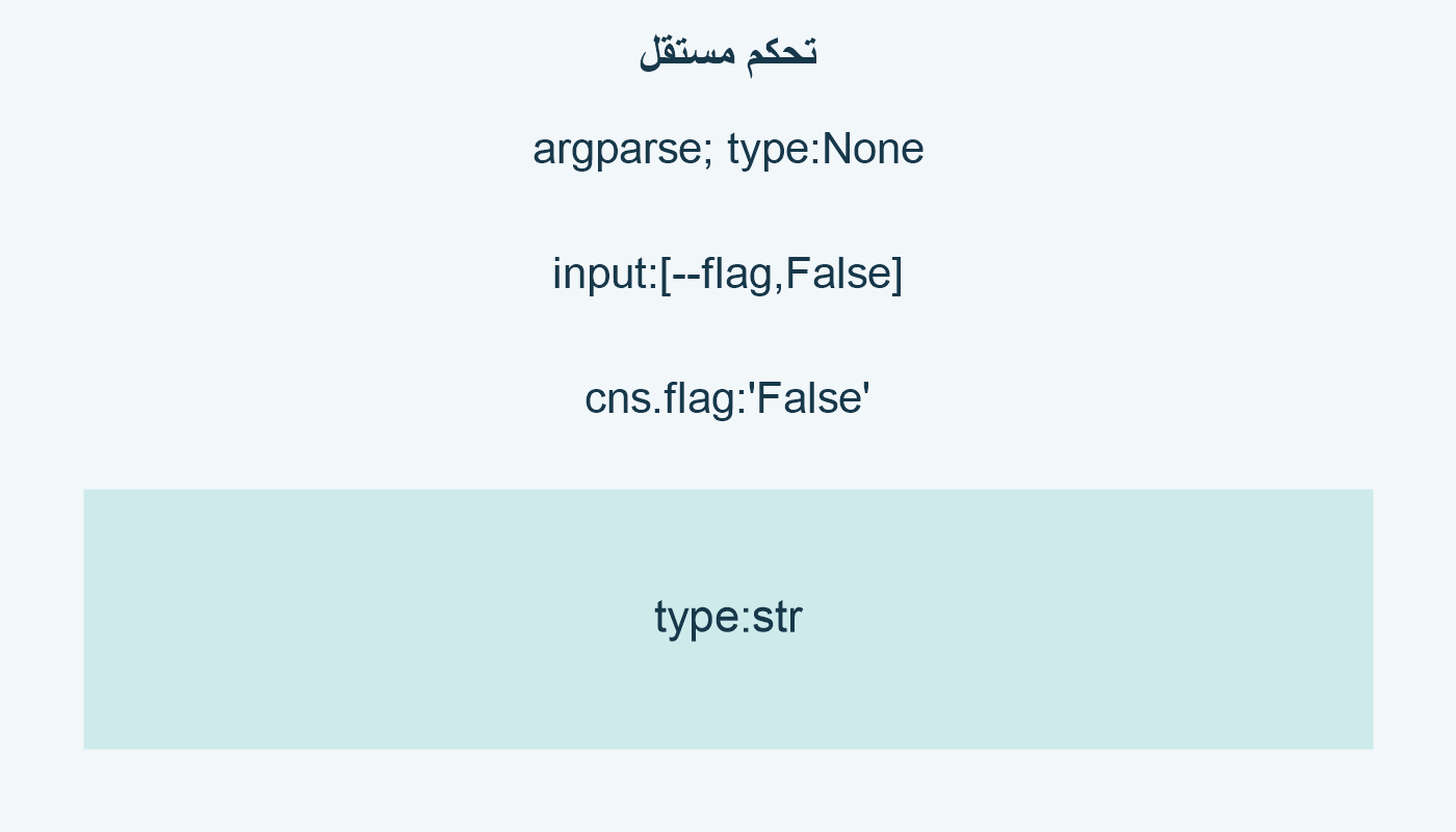 تحكم مستقل؛ argparse; type:None; input:[--flag,False]; cns.flag:'False'; type:str
