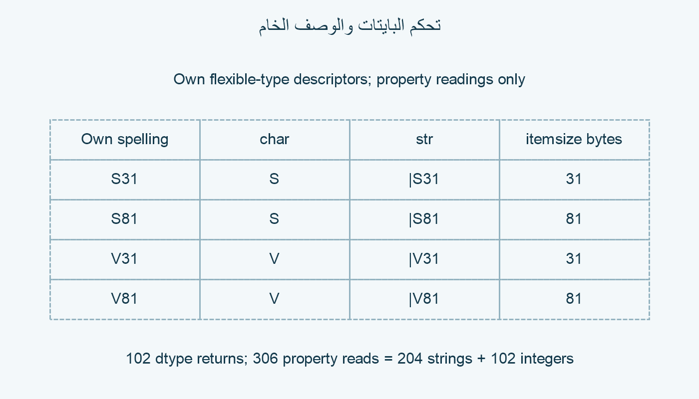 التحكم بالبايتات والوصف الخام.