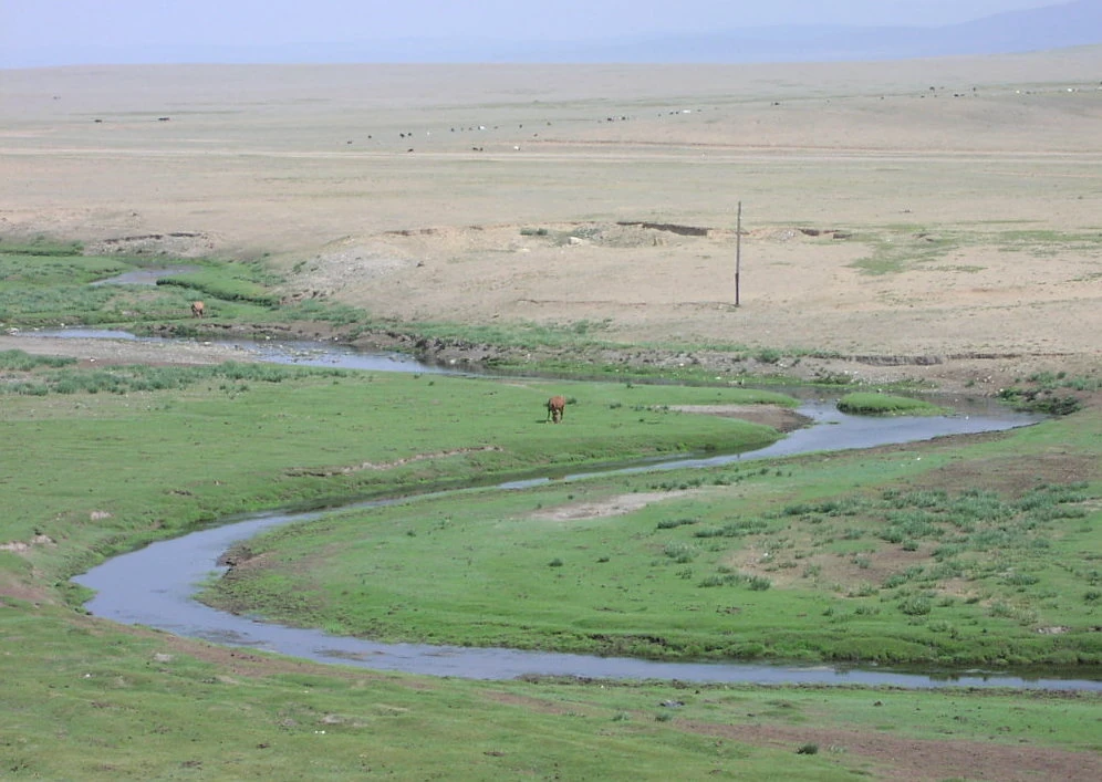 سهوب قرب خارخورين في منغوليا؛ تاريخ الالتقاط بحسب وصف الملف: أغسطس 2002.
