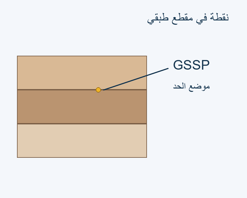 موضع توضيحي لنقطة GSSP داخل مقطع طبقي مرسوم.