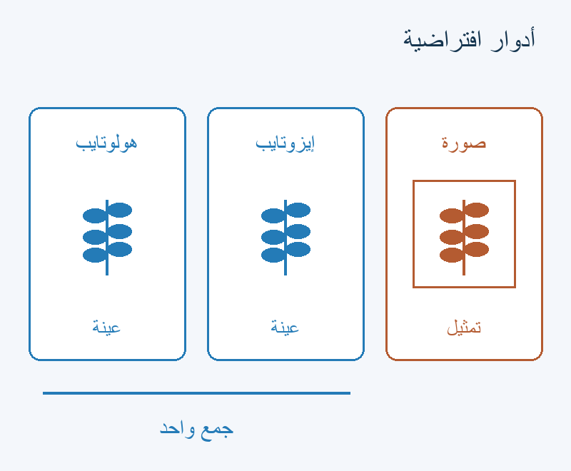 هولوتايب ومكرره عينتان في الفرض؛ الصورة تمثيل للأولى.
