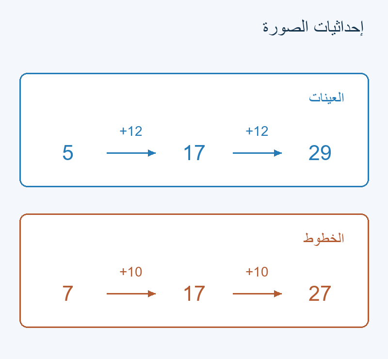 عينات 5 و17 و29 بخطوة 12؛ خطوط 7 و17 و27 بخطوة 10.