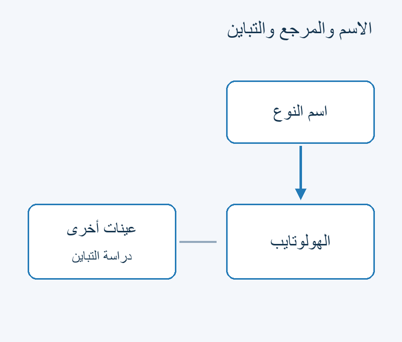 اسم النوع مرتبط بالهولوتايب، وعينات أخرى تساعد في دراسة التباين.